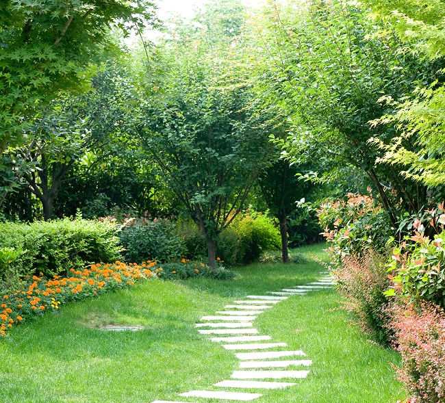 Sublime jardin : allée de pas japonais et fleurs oranges. Chemin de pas japonais sinueux dans une pelouse verte, bordé de fleurs oranges vives et d'arbres feuillus dans un jardin luxuriant.