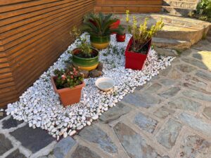 Jardin méditerranéen: Galets blancs, pots rouges et verts, cycas en pot, long mur en lattes de bois et sol en dalles d'ardoise.
