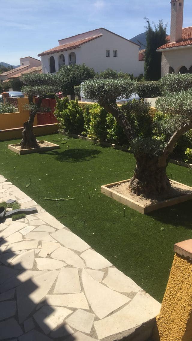 Scène de jardin ensoleillé style méditerranéen. Deux oliviers massifs sur gazon synthétique vert. Terrasse en pierres claires et maisons blanches.