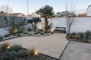 Jardin paysager méditerranéen avec allée de gravier beige. Palmier, olivier sculpté, plantes grasses et éclairage d'ambiance la nuit.