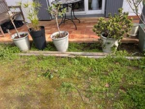 Bordure de jardin en rondins devant la terrasse. Quatre grands pots inclinés (papyrus, arbre de Jade, arbustes) dans un parterre herbeux.